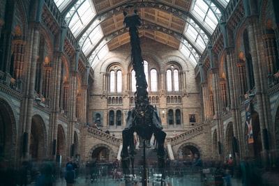 博物馆里的黑色金属恐龙白天被人围住